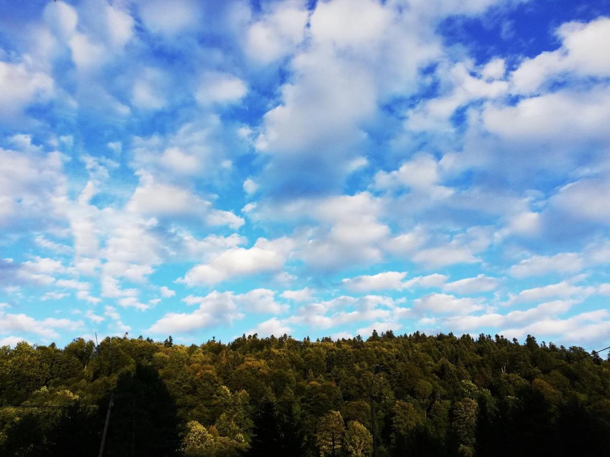 Affittacamere Dom - Nad Potokiem Lutowiska Esterno foto